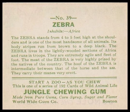 R78 World Wide Gum Jungle Gum